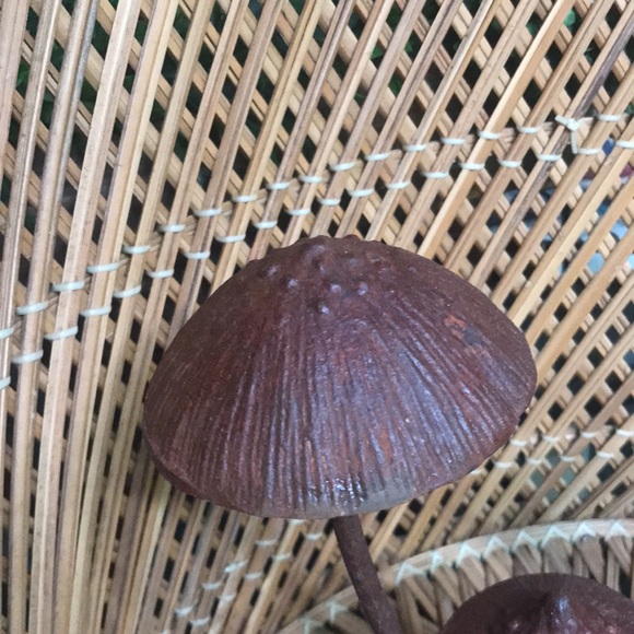 Anthropologie Whimsical Rustic Patina Iron Multiple Mushroom Tabletop Decor 🍄 - Picture 8 of 16